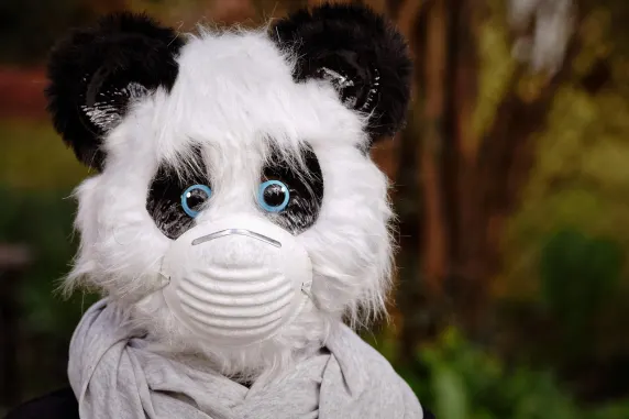 BigAzart Casino Tugi